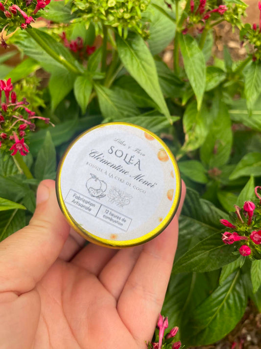 Soléa — Bougie artisanale Clémentine Monoï