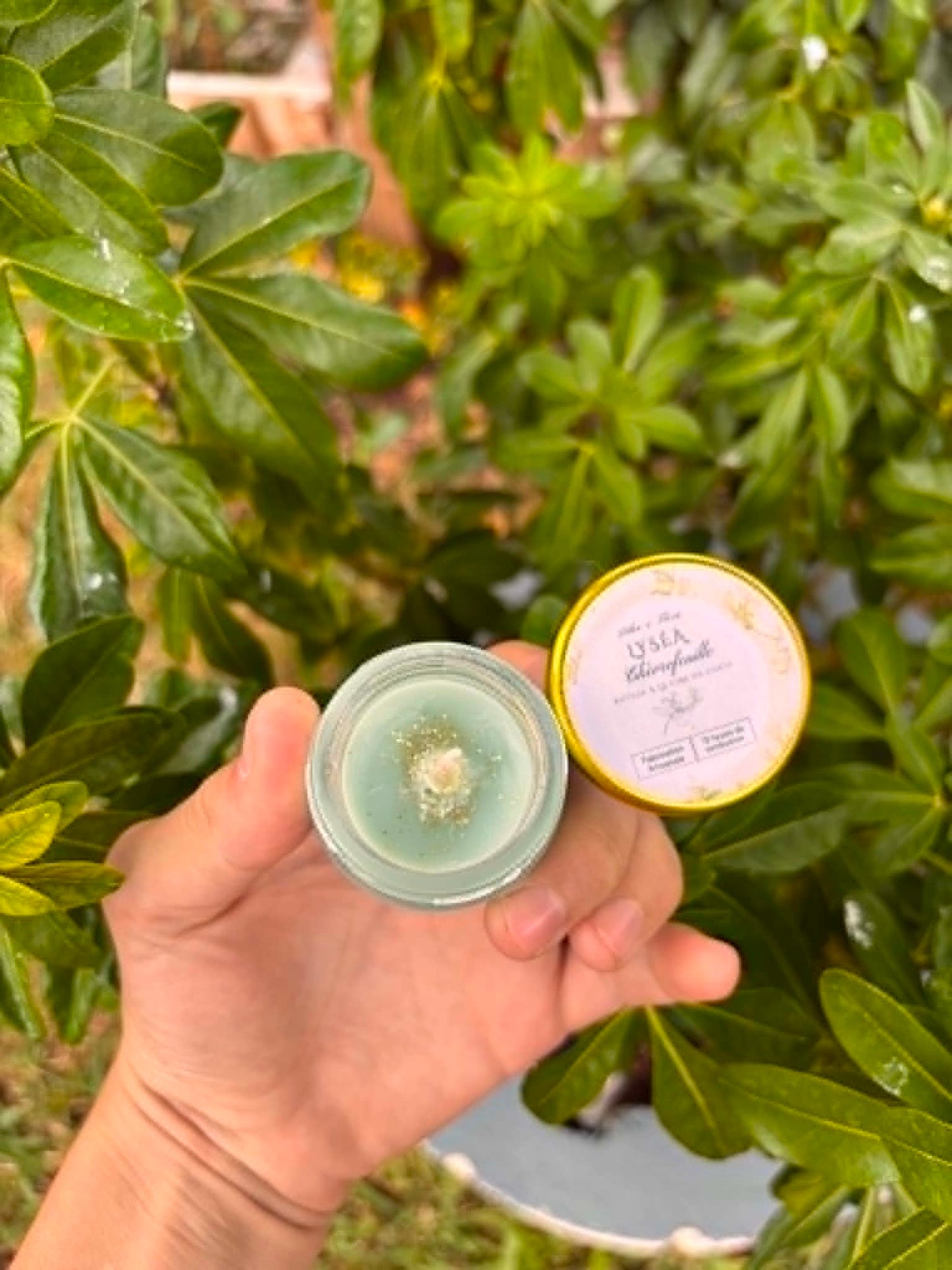 Lyséa — Bougie artisanale Chèvrefeuille