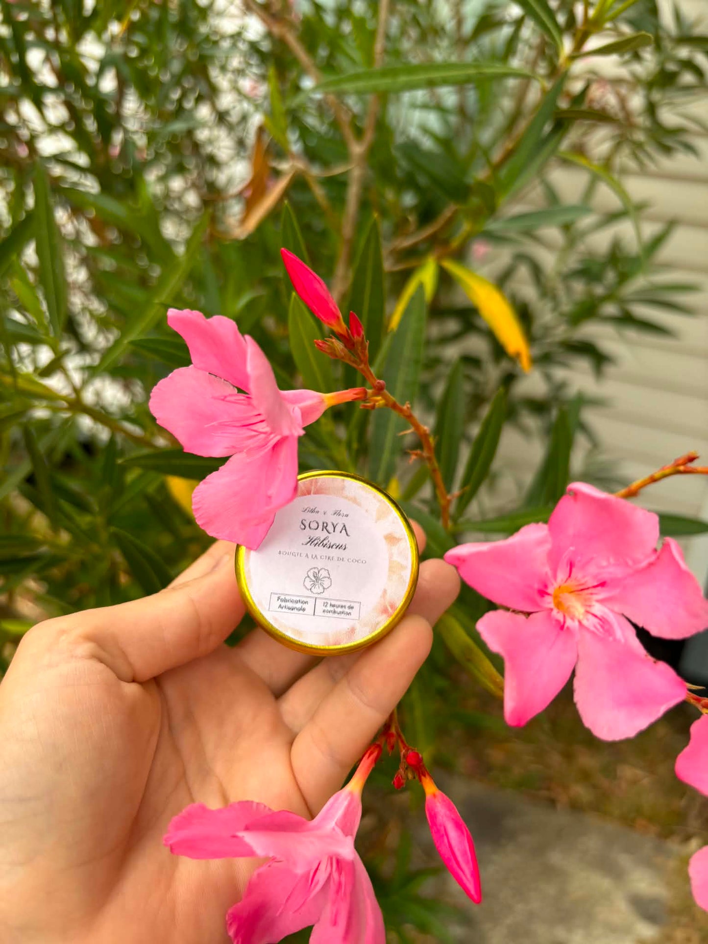 Sorya — Bougie artisanale Hibiscus