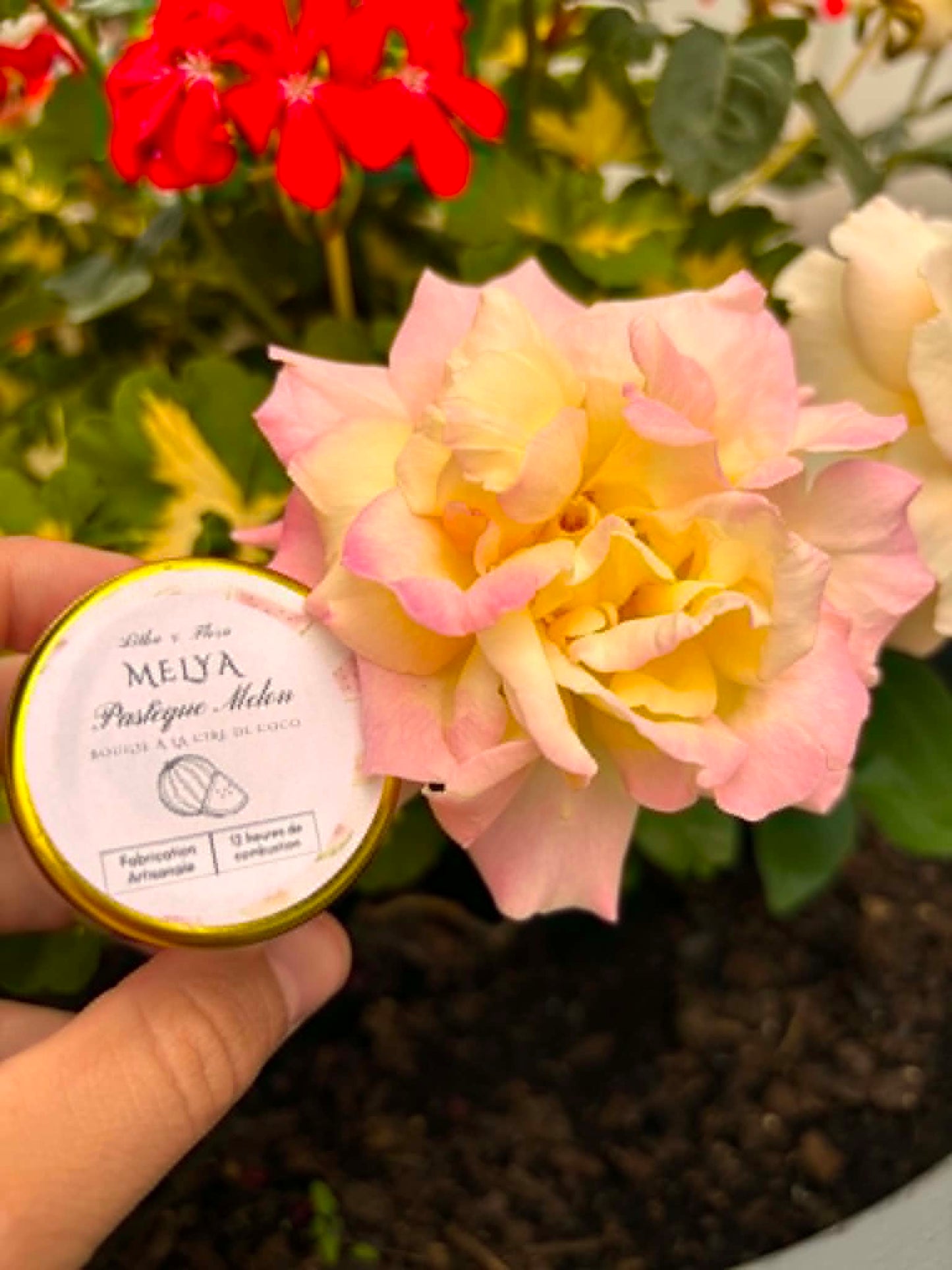 Melya — Bougie artisanale Pastèque Melon